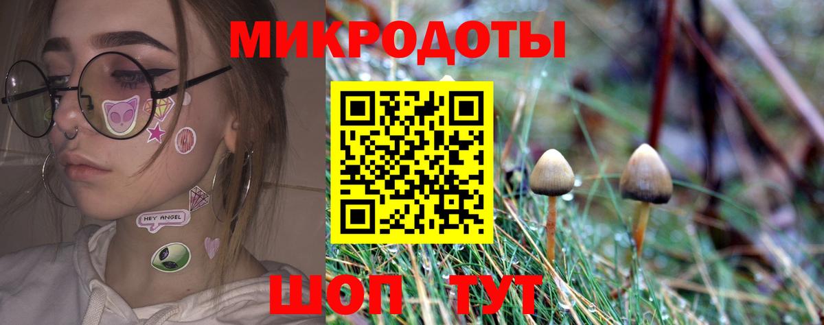 Псилоцибиновые грибы мицелий Урус-Мартан